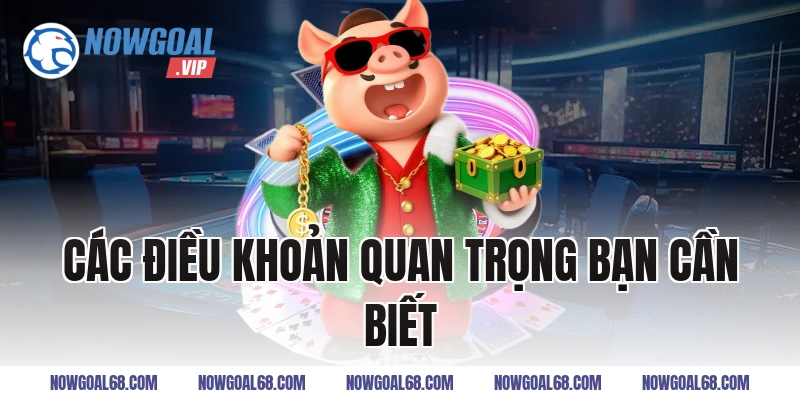 Các điều khoản quan trọng bạn cần biết