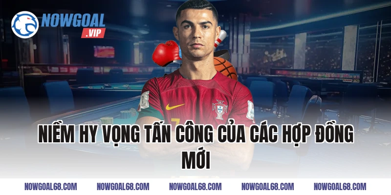 Niềm Hy Vọng Tấn Công Của Các Hợp Đồng Mới