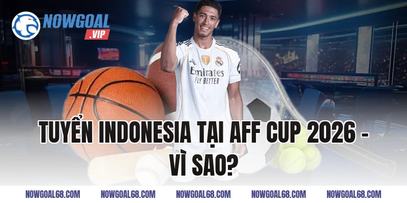 Tuyển Indonesia Tại AFF Cup 2026 – Vì Sao?